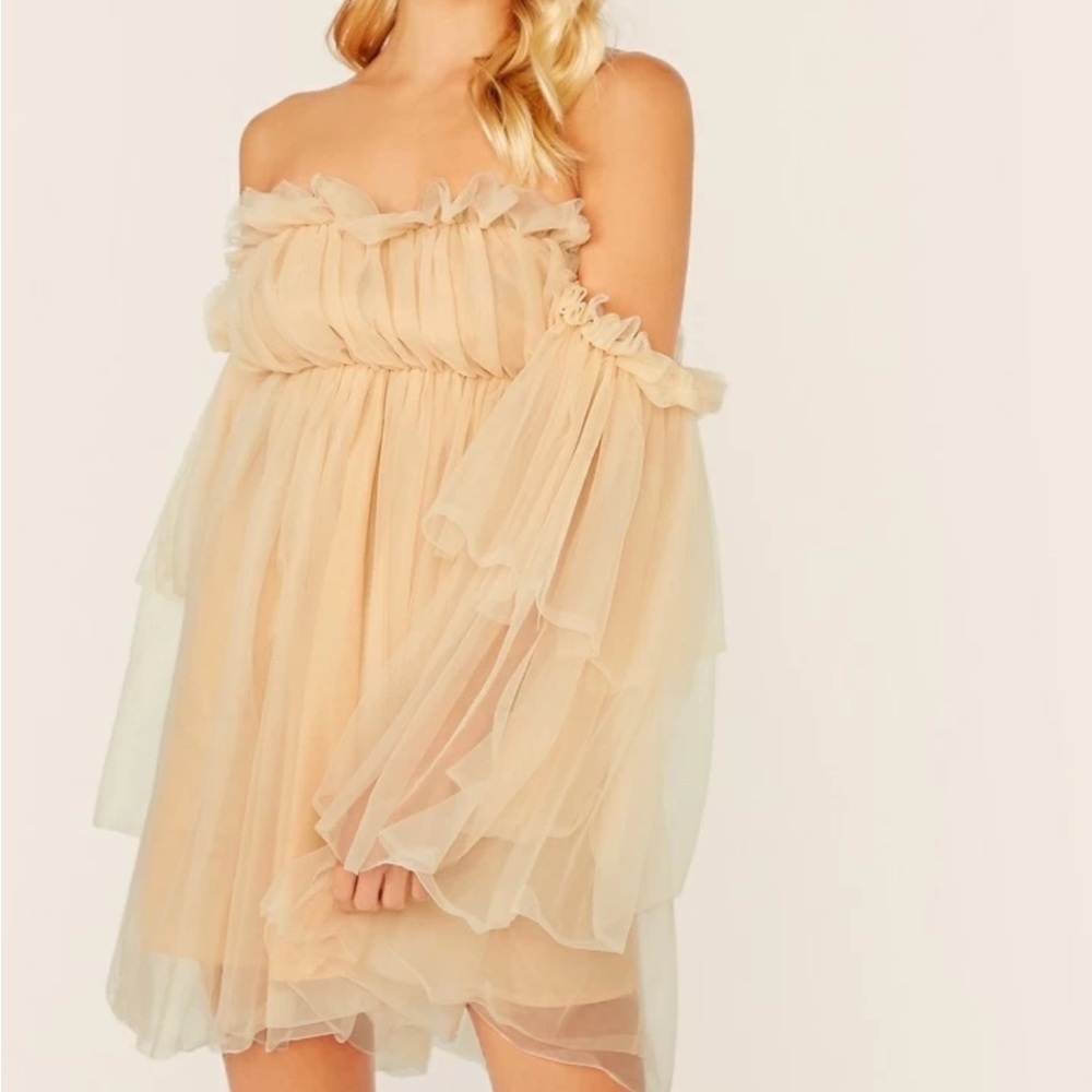 Off Shoulder Ruffle Mesh Dress
